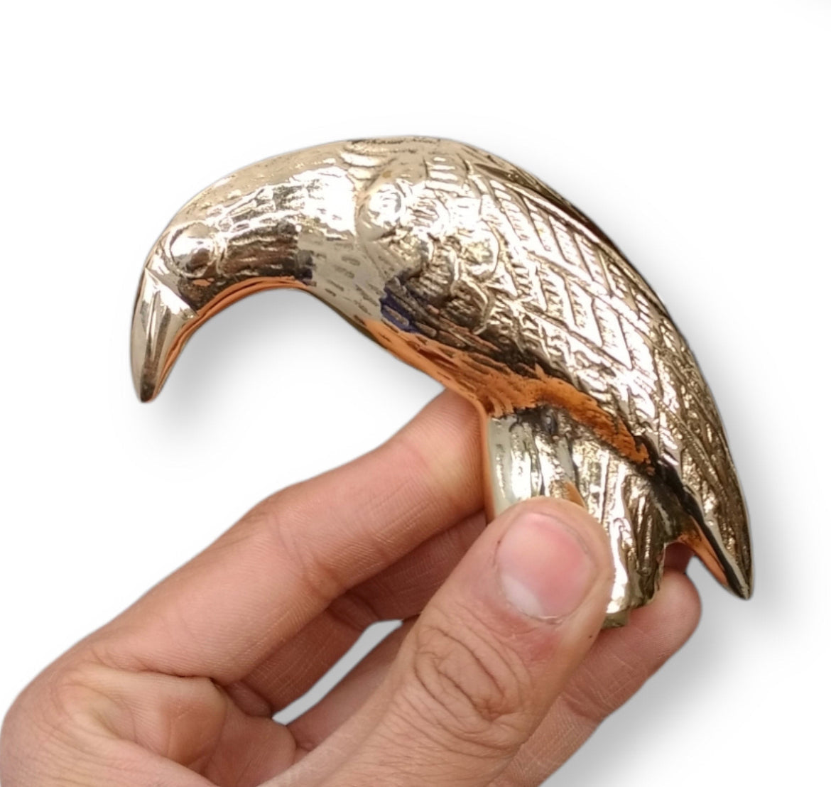 Raven Head walking stick for Use or Gifting